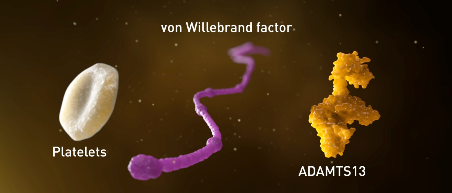 von villebrand factor