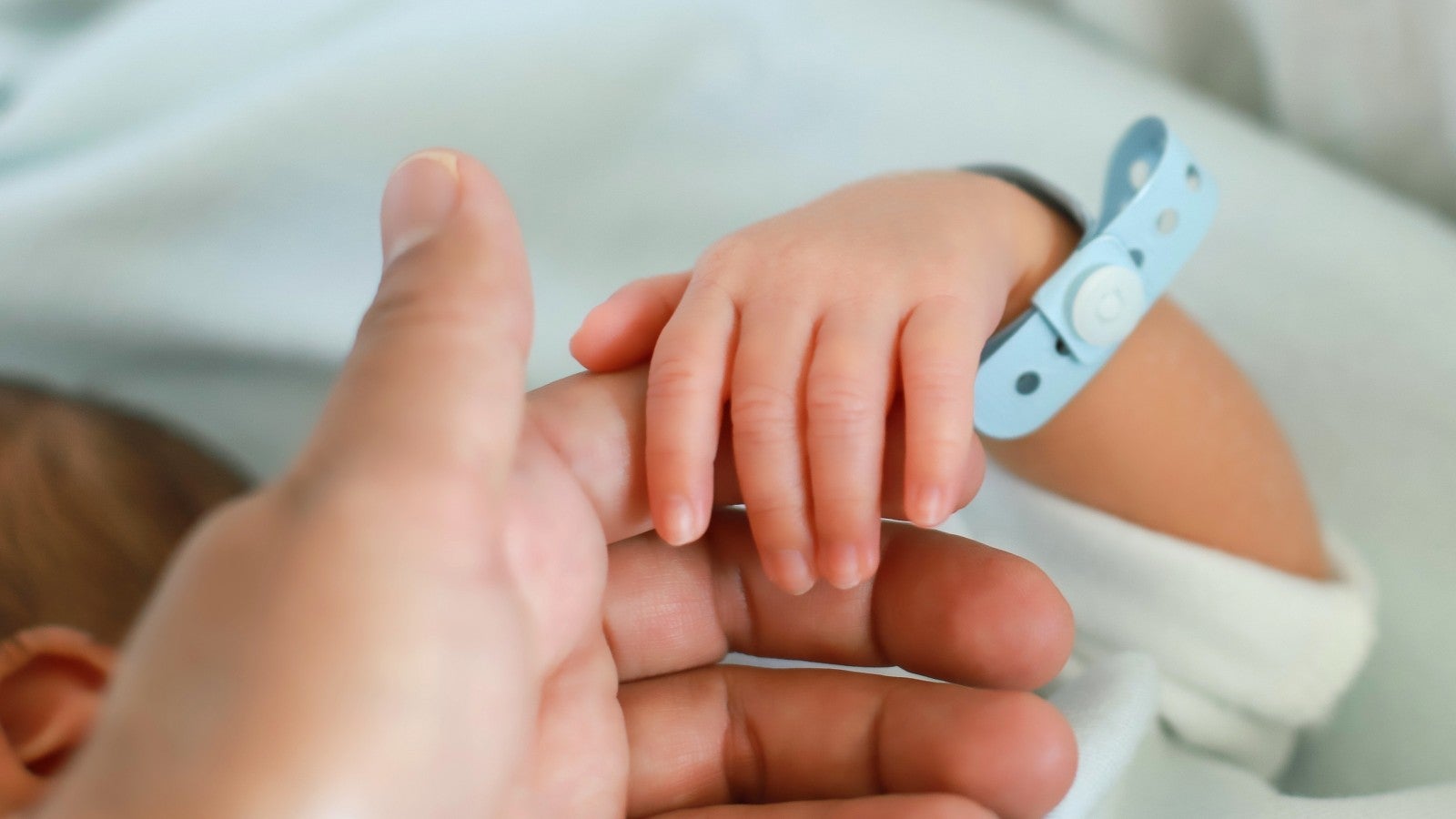 Nyfödd hand håller i förälders finger